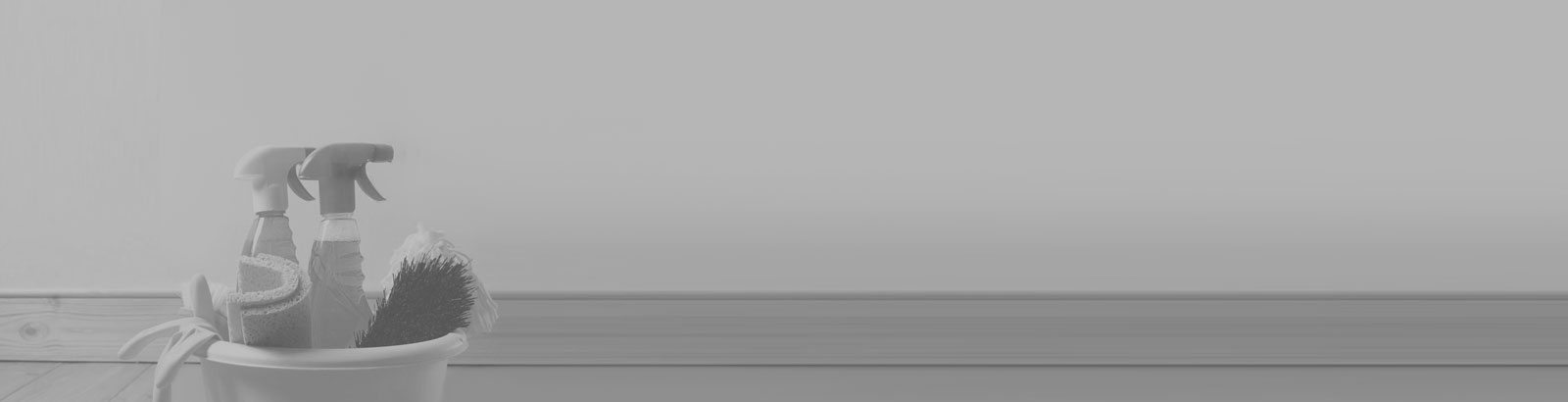 Coupon Savings - Special Offers - BONUS 5th Cleaning is FREE