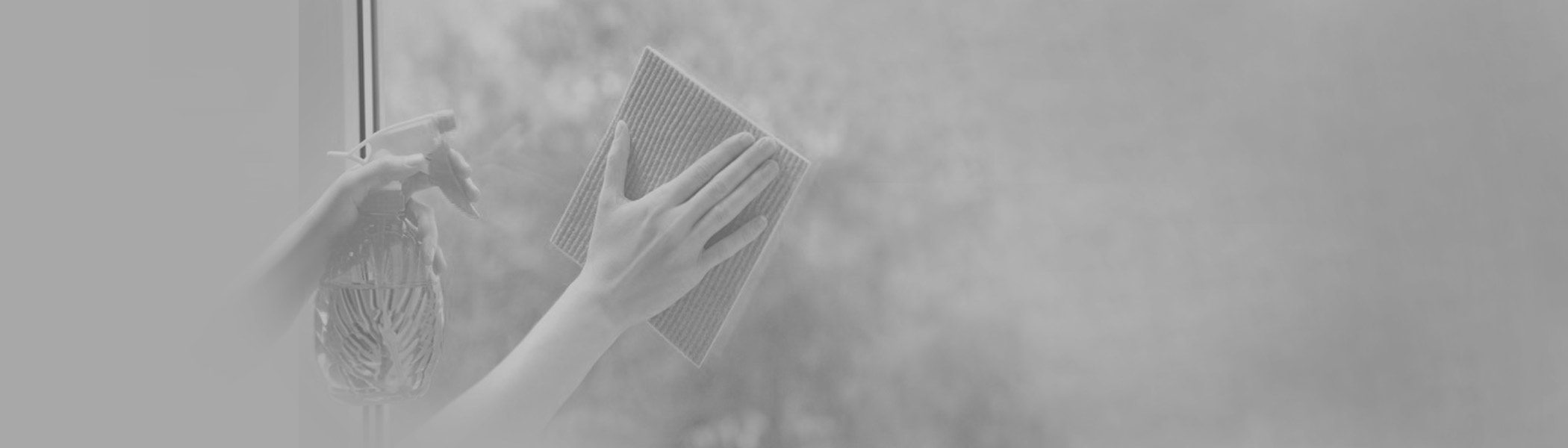 Maids2000 - Your Premier Eco-Friendly Cleaning and Maid Service